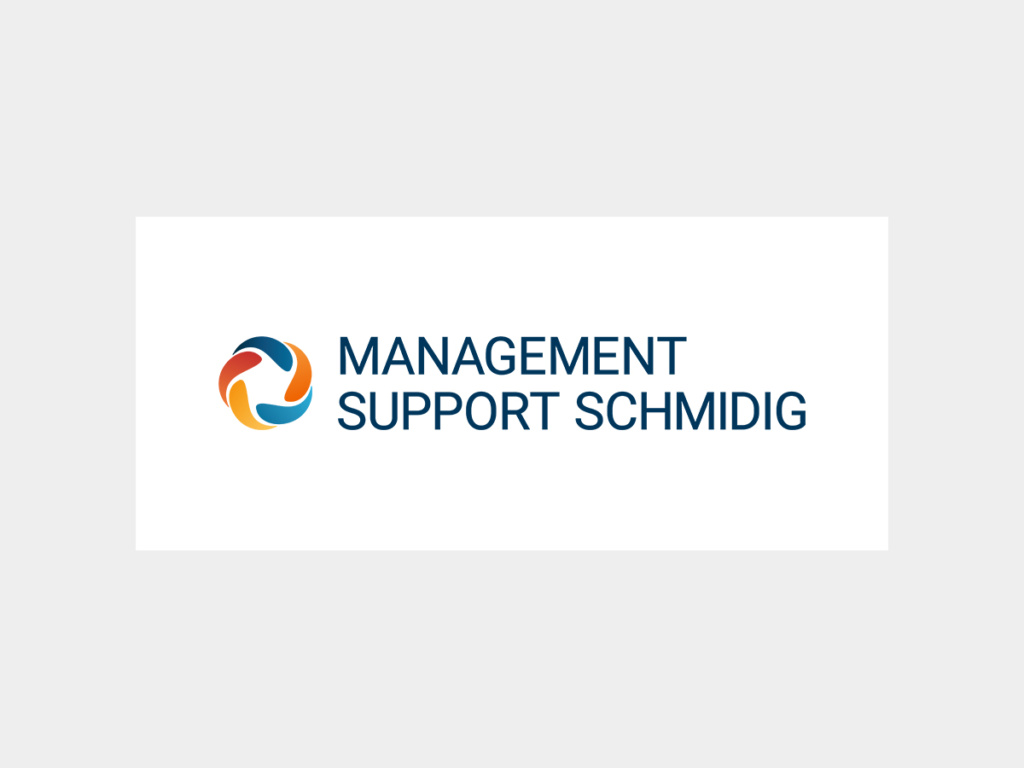 Logo Management Support Schmidig