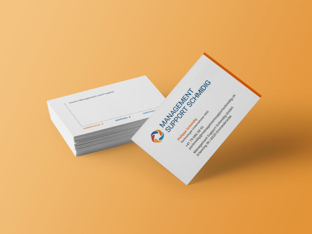 Visitenkarte Management Support Schmidig