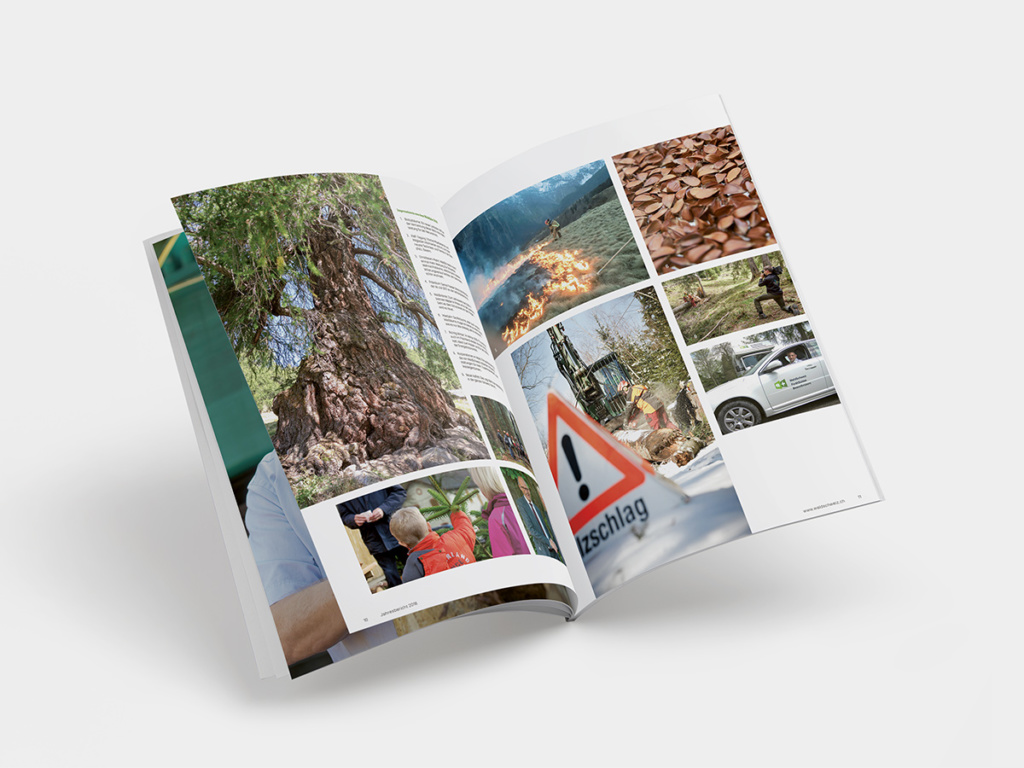 Jahresbericht WaldSchweiz